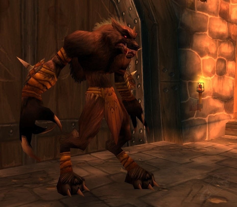 Wolfmeister Nandos