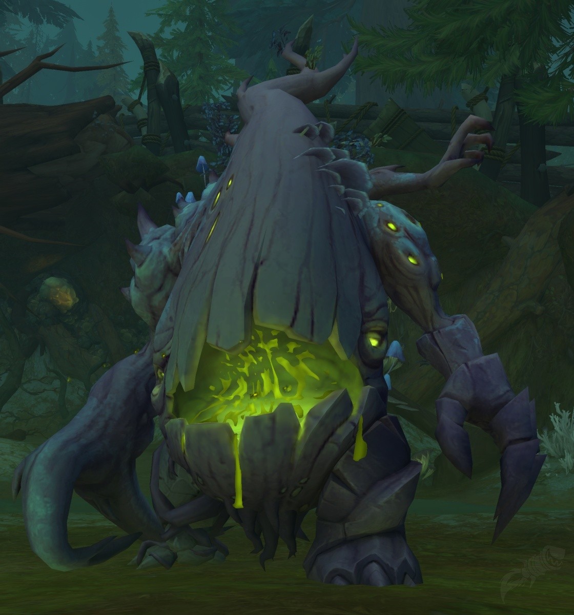 Baummaul